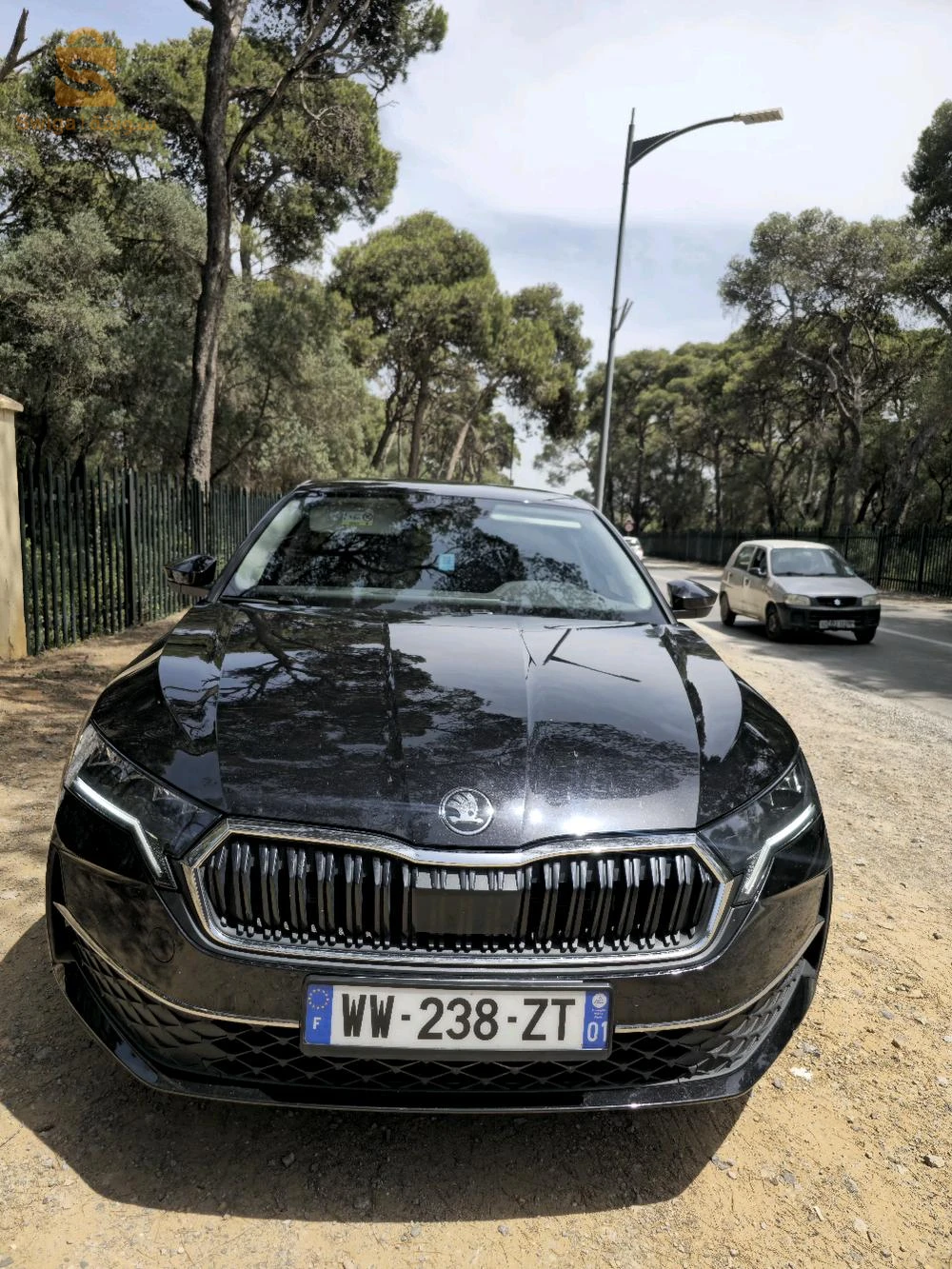 سكودا Octavia 2025 16 الجزائر