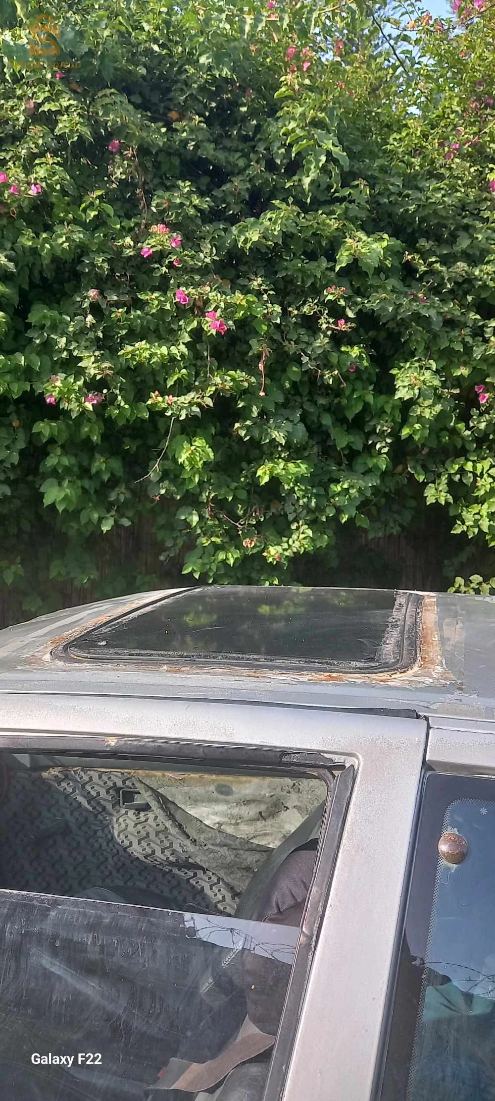 رينو R 19 1995 16 الجزائر