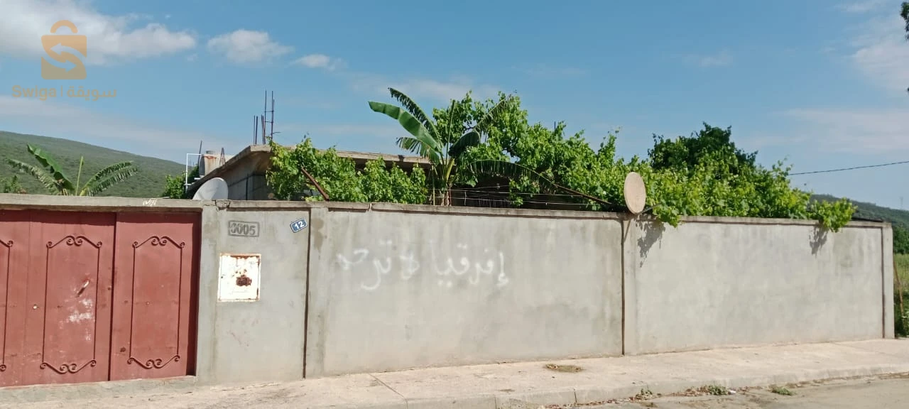 للبيع شقق سكنية عدد الغرف4 24 قالمة