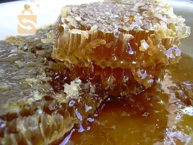 الصحة الغذائية 