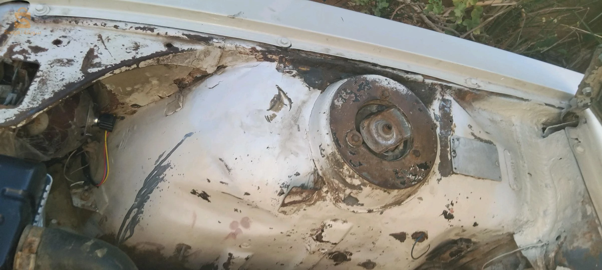 بيجو 504 1986 44 عين الدفلى