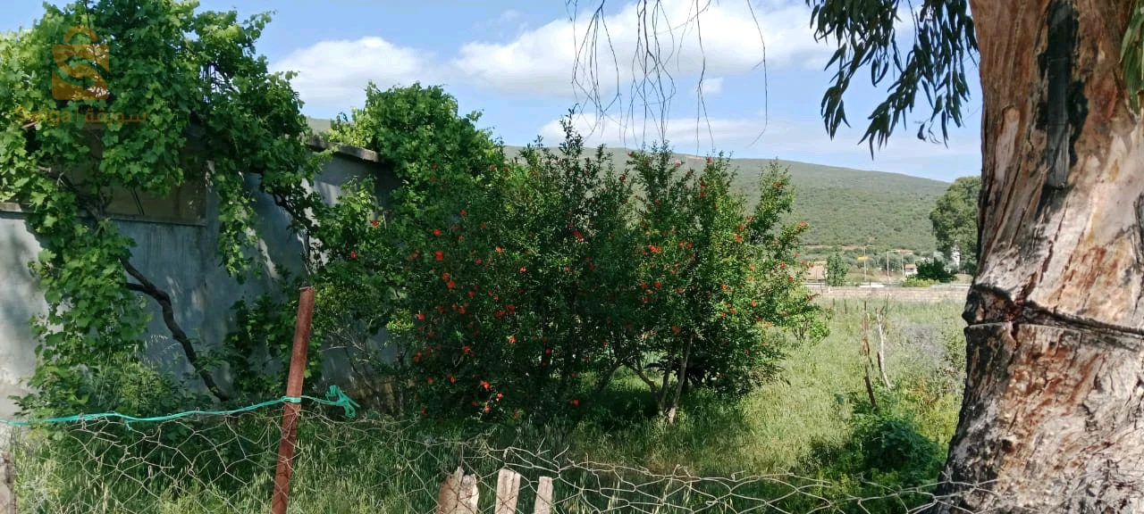 للبيع شقق سكنية عدد الغرف4 24 قالمة