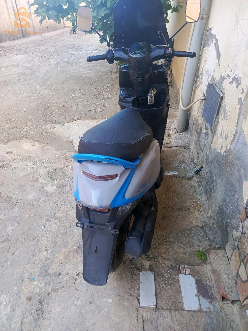 فياماس 