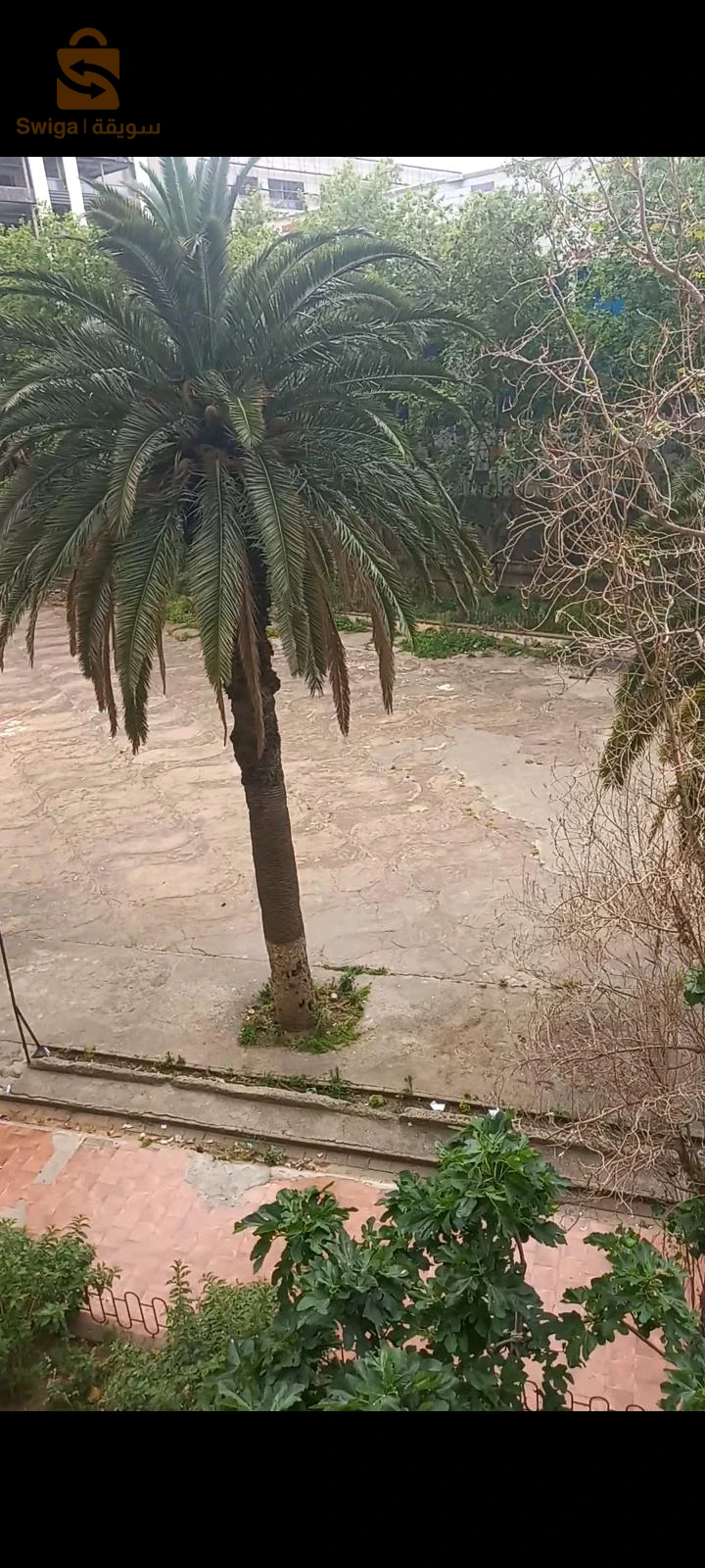 للبيع شقق سكنية عدد الغرف3 16 الجزائر