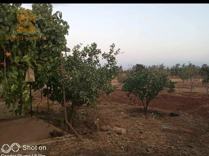 À vendre autres terres les chambres  44 AIN DEFLA