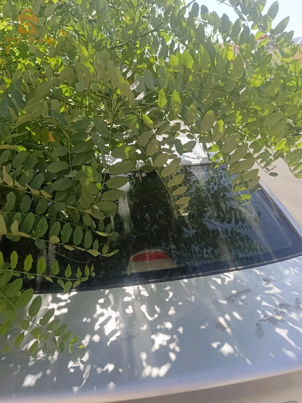 Hyundai Accent 2009 17 DJELFA