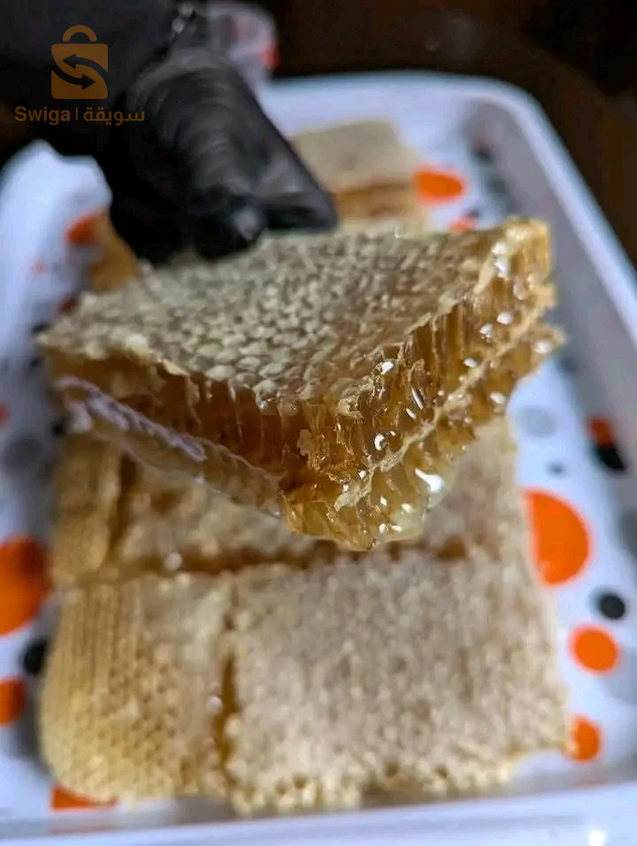 الصحة الغذائية 