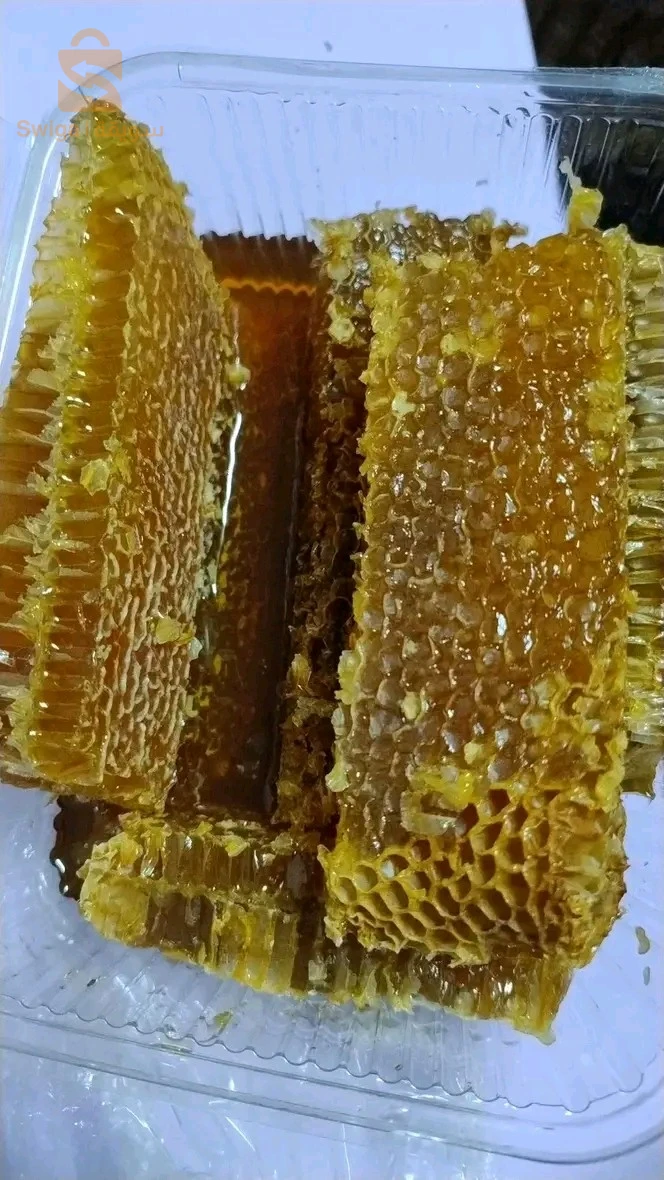 الصحة الغذائية 