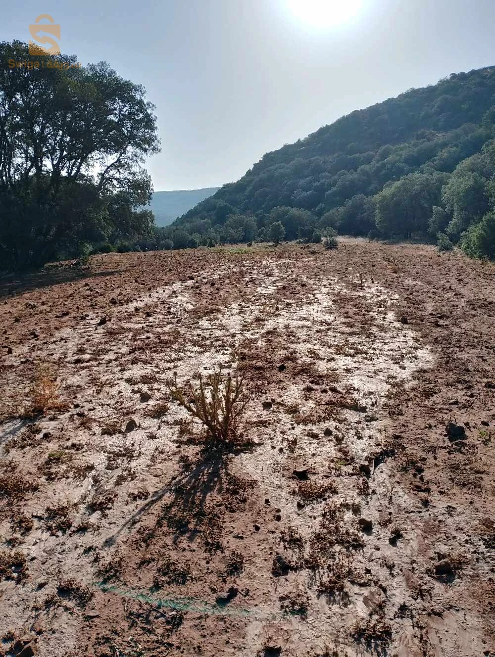 For sale agricultural lands Room Number 13 TLEMCEN