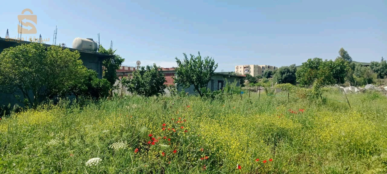 للبيع شقق سكنية عدد الغرف4 24 قالمة