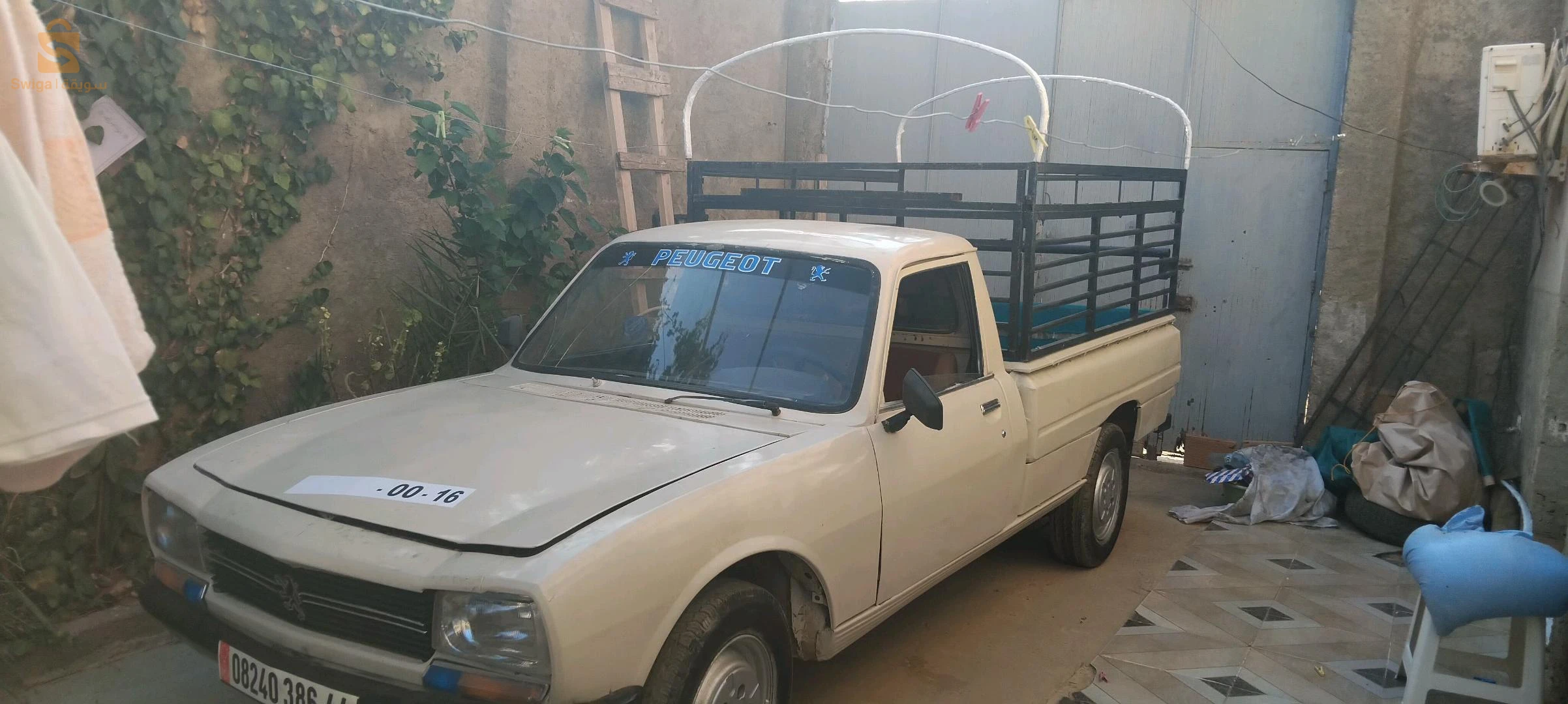 بيجو 504 1986 44 عين الدفلى