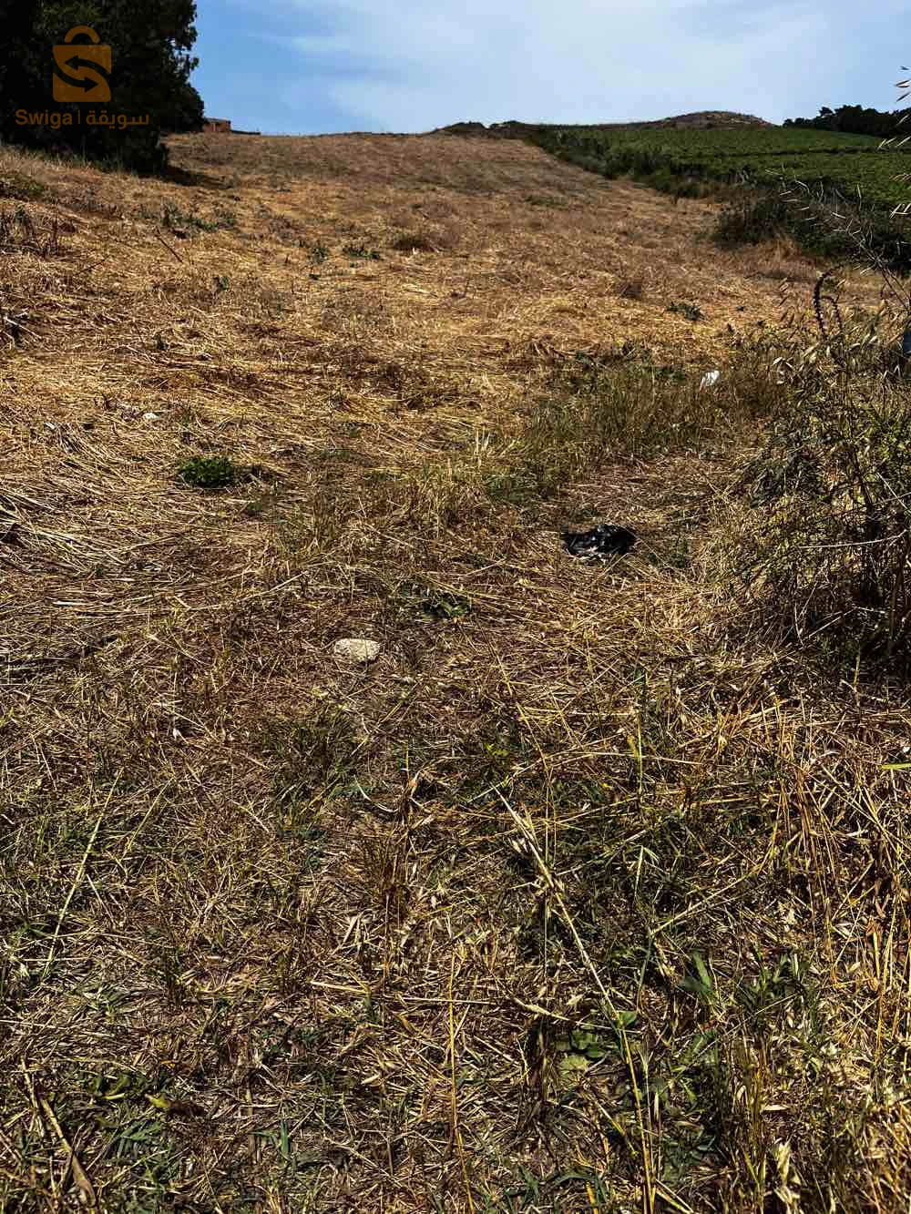 للبيع اراضي زراعية عدد الغرف 35 بومرداس