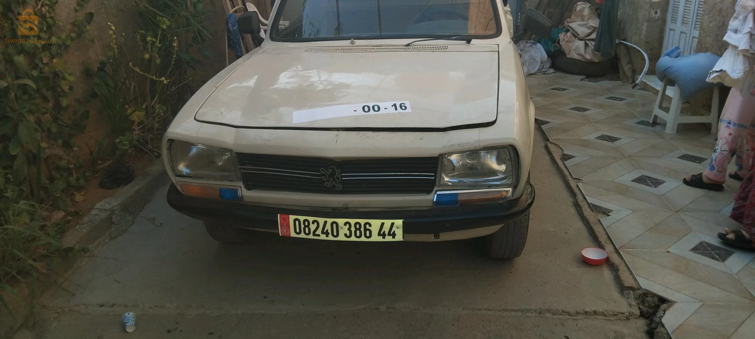 Peugeot 504 1986 44 AIN DEFLA