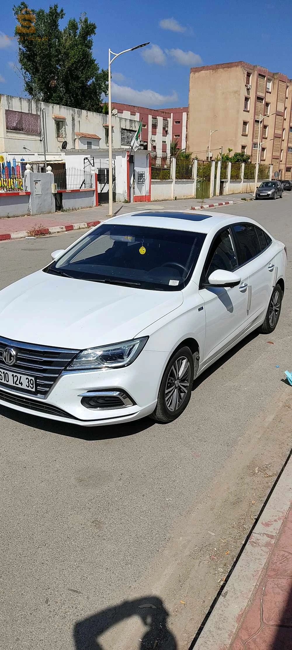 MG 2024 36 EL TARF