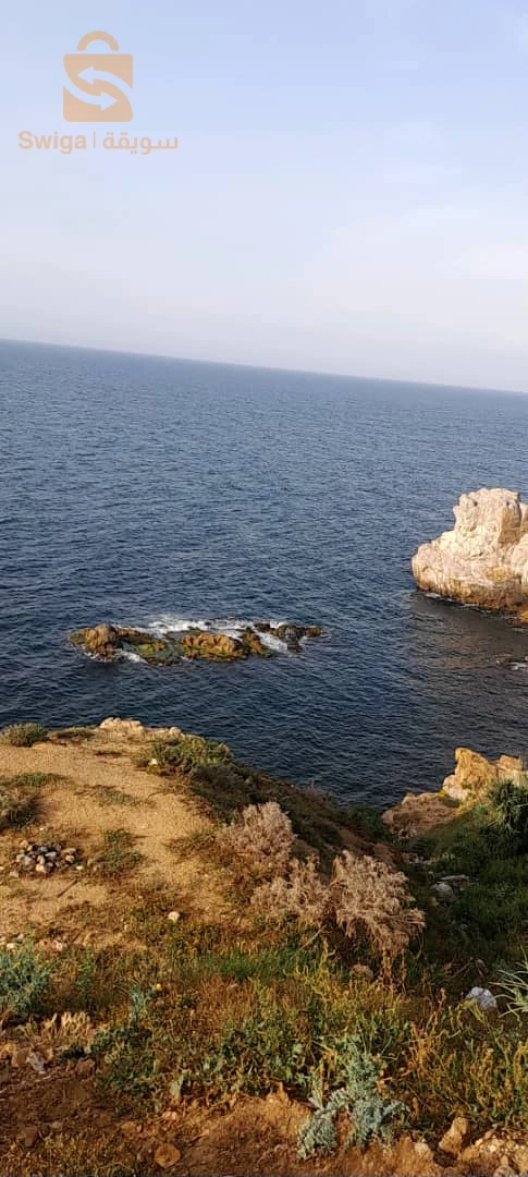 للبيع فلل سكنية عدد الغرف8 16 الجزائر
