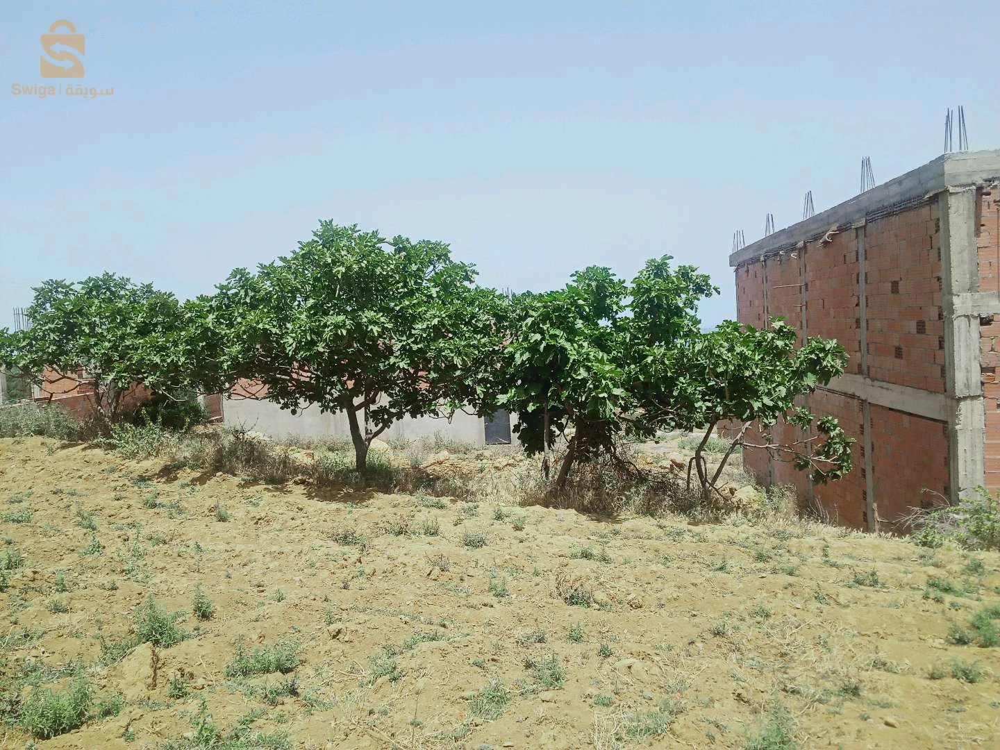 For sale Residential lands Room Number 9 BLIDA