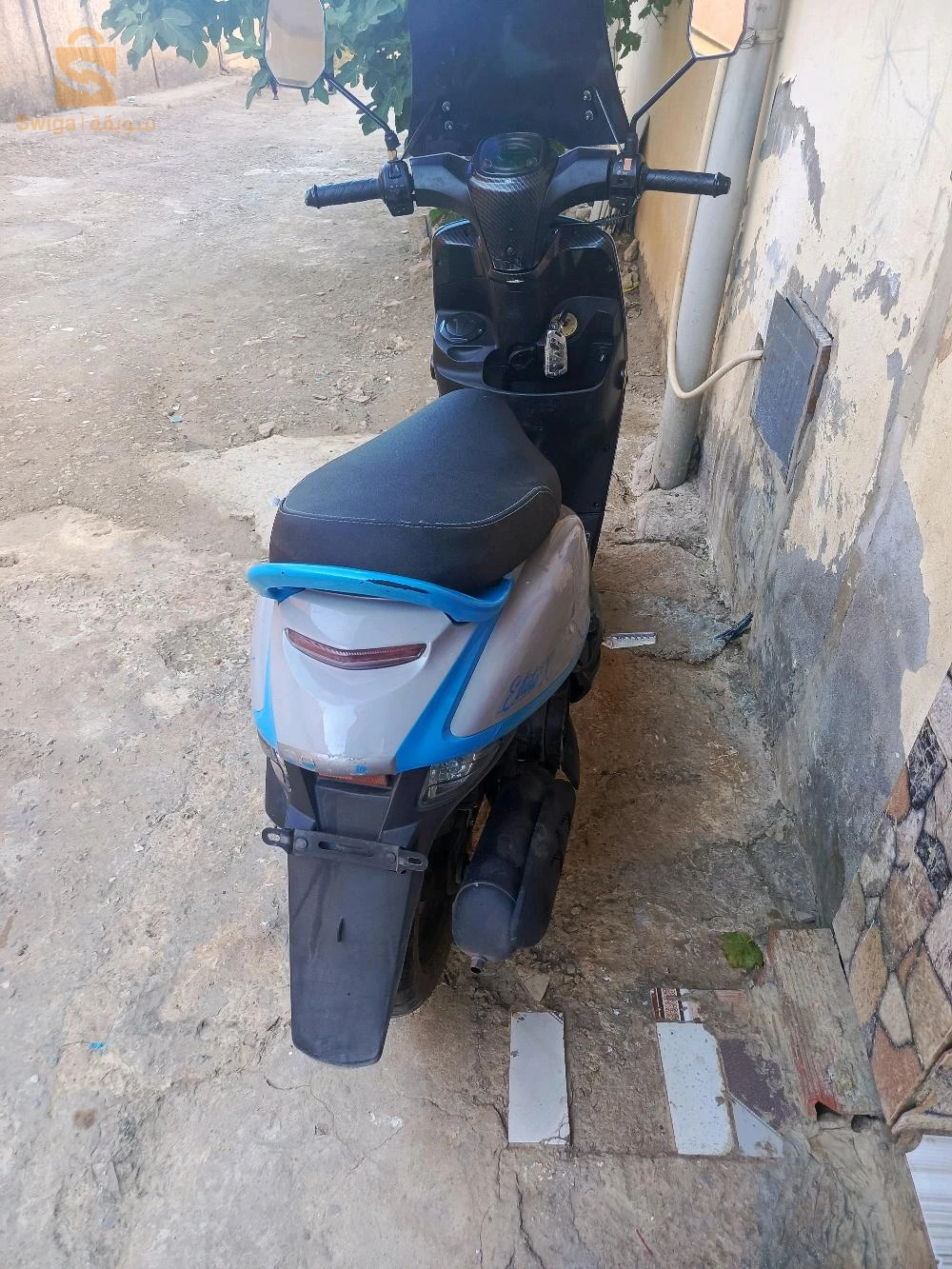 فياماس 