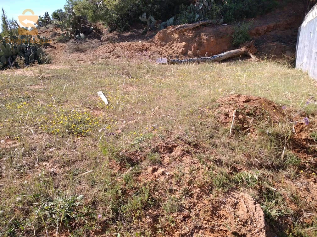 للبيع اراضي سكنية عدد الغرف 35 بومرداس