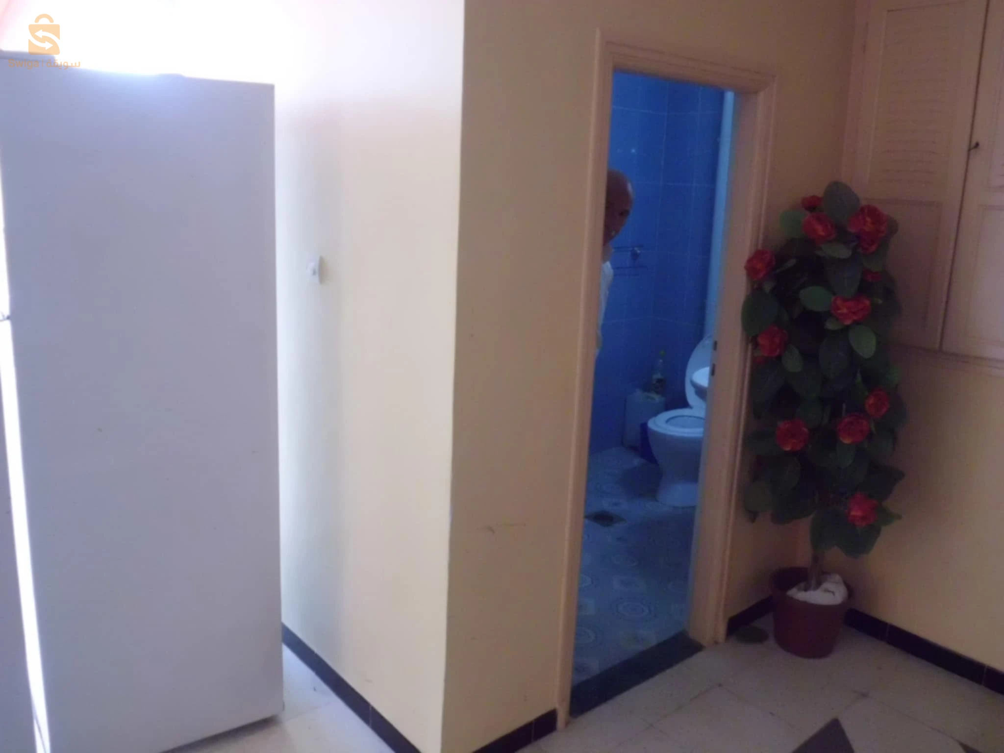 للبيع فلل سكنية عدد الغرف 18 جيجل