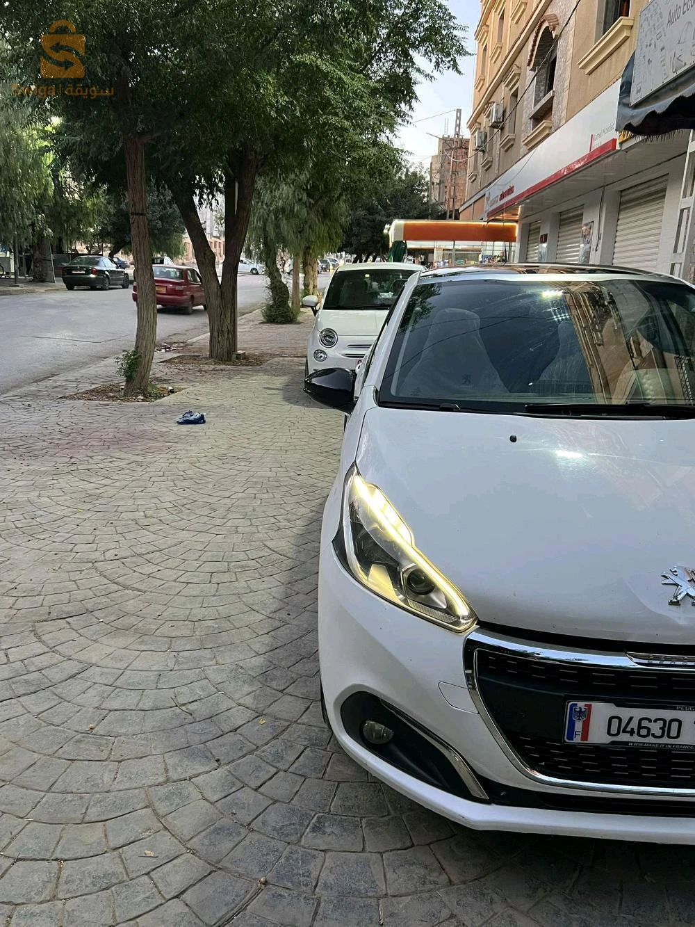 Peugeot 208 2019 22 SIDI BEL ABBES