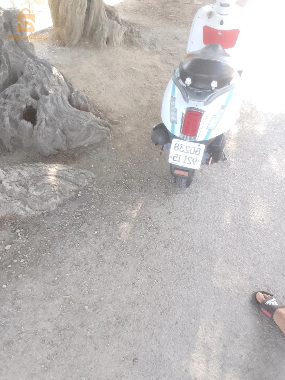 فيسبا 