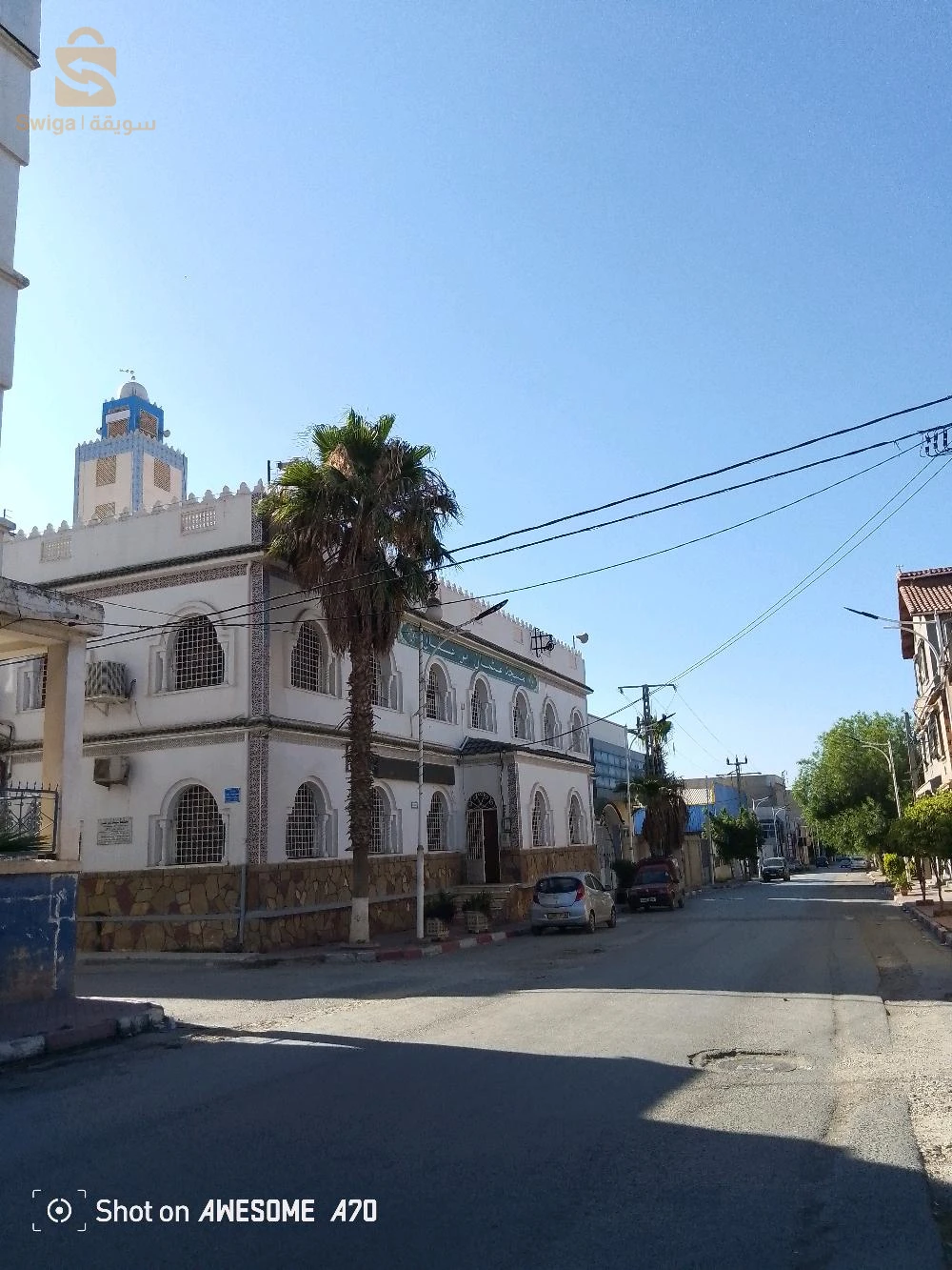 À vendre Terrains résidentiels les chambres  9 BLIDA