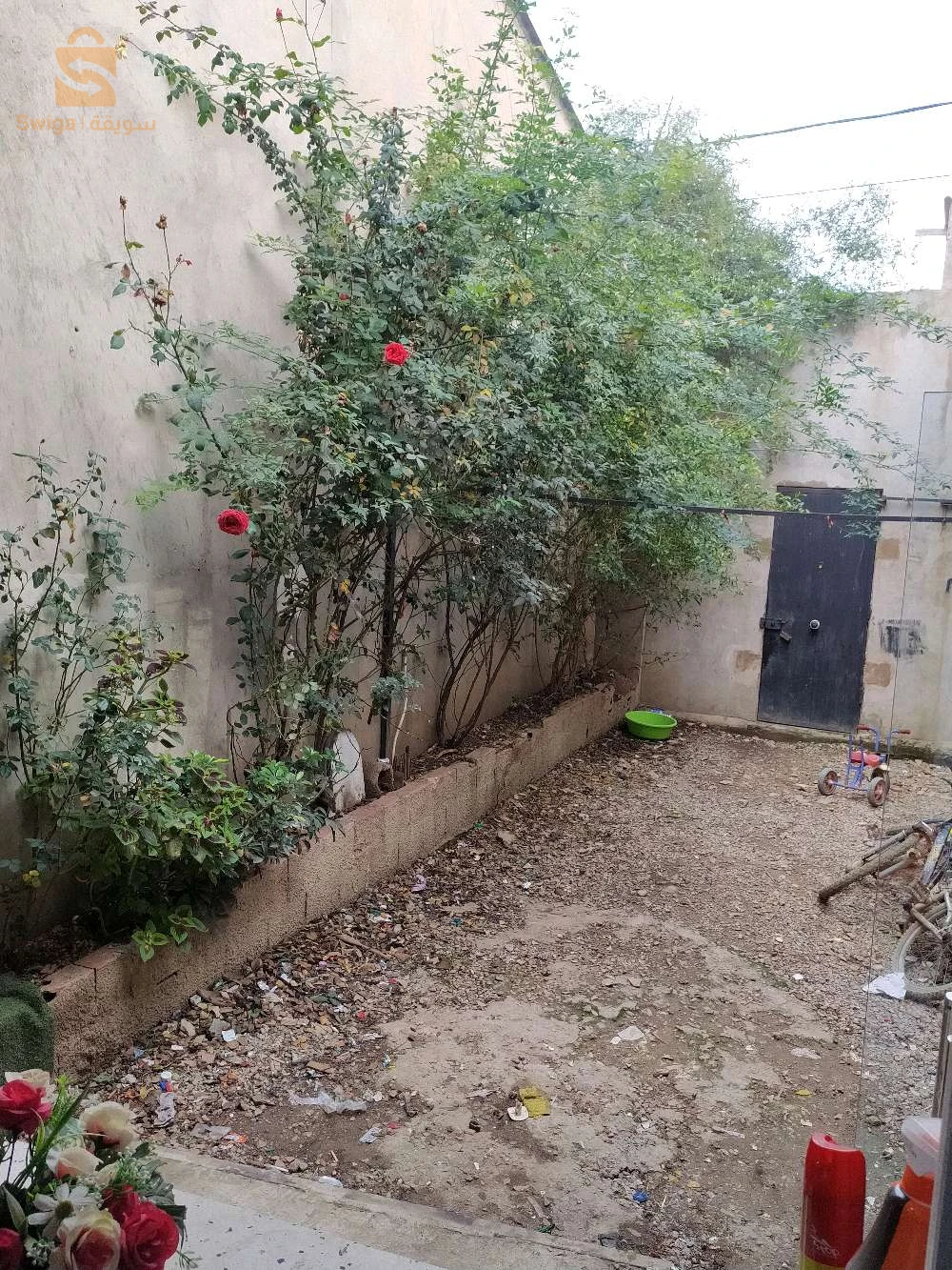 À vendre Niveau de villa les chambres 3 9 BLIDA