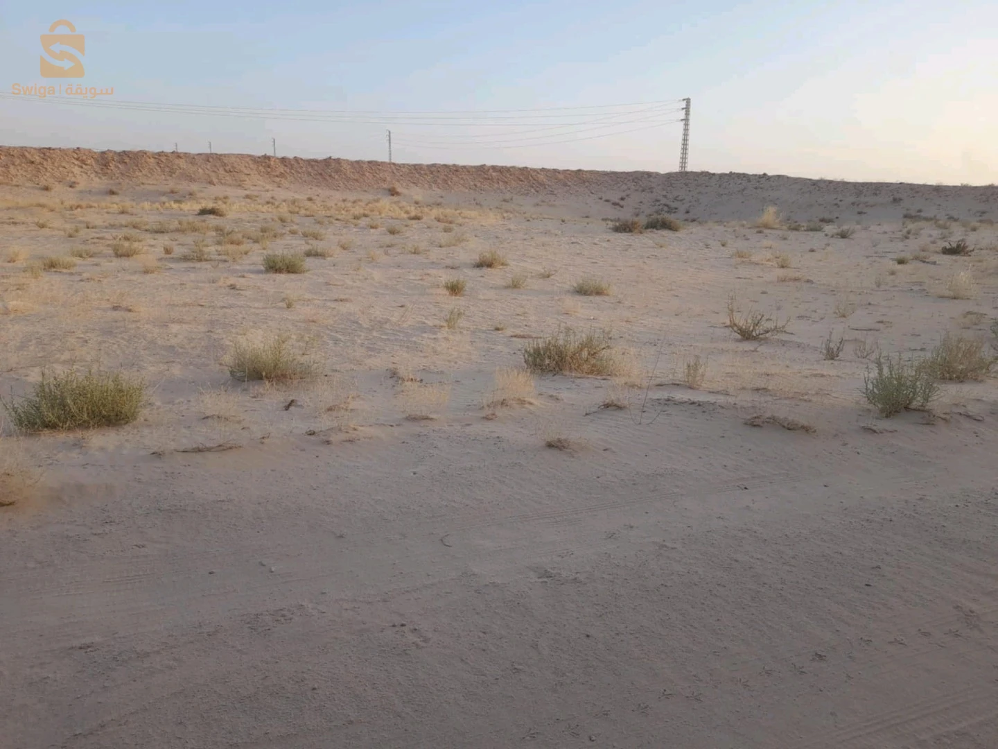 À vendre Les terres agricoles les chambres  39 EL OUED