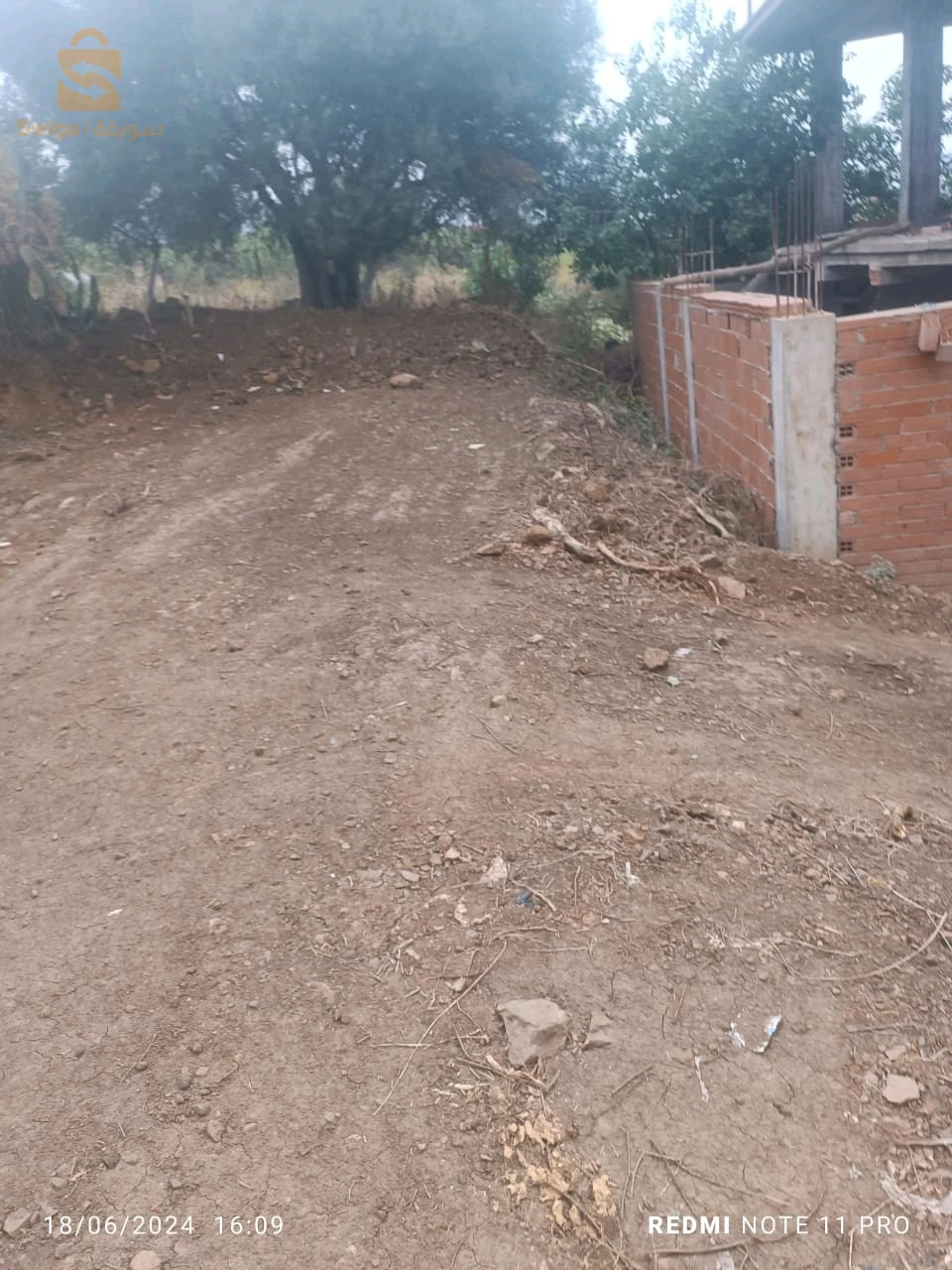 À vendre Terrains résidentiels les chambres  9 BLIDA