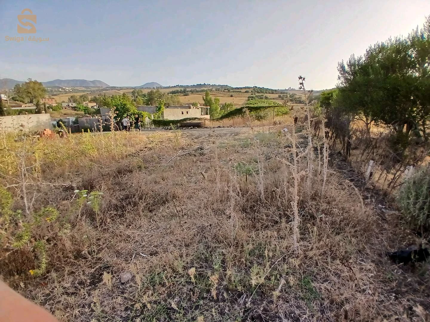 للبيع اراضي سكنية عدد الغرف 35 بومرداس