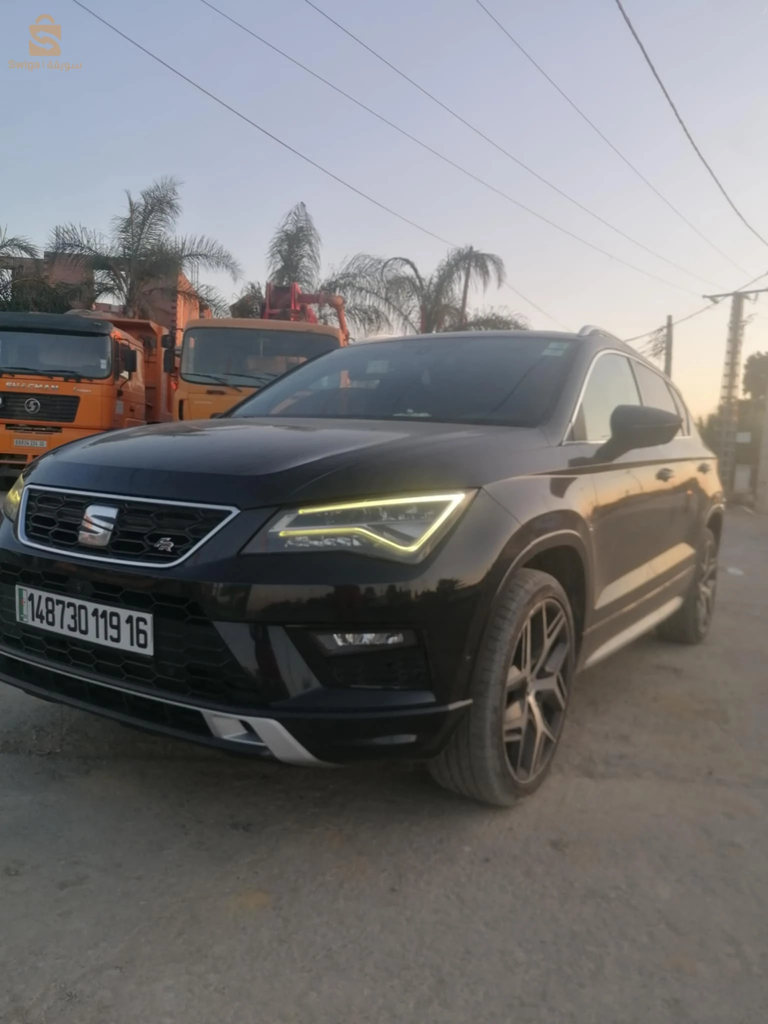 سيات ATECA 2019 19 سطيف