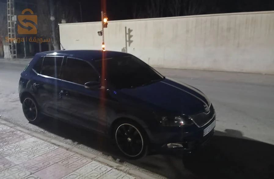 Skoda Fabia 2018 16 ALGER