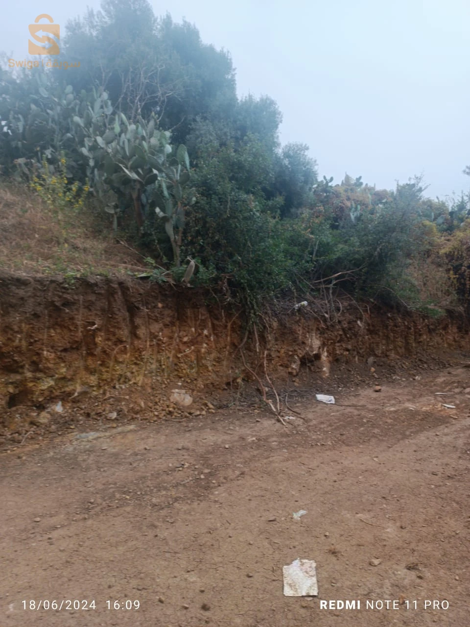 للبيع اراضي سكنية عدد الغرف 9 البليدة