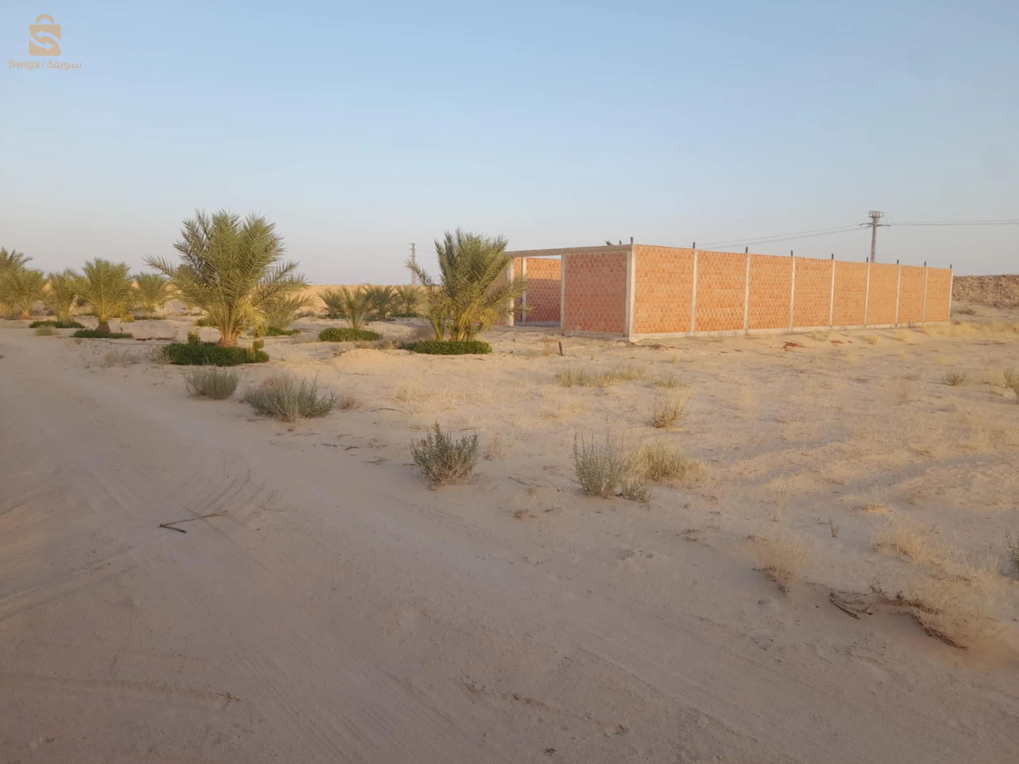 للبيع اراضي زراعية عدد الغرف 39 الوادي