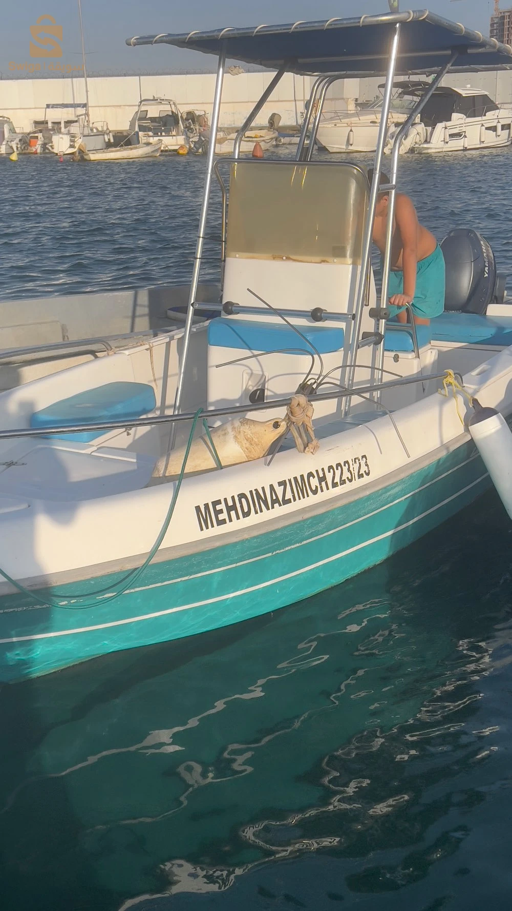 قوارب صيد عدد المحركات للبيع