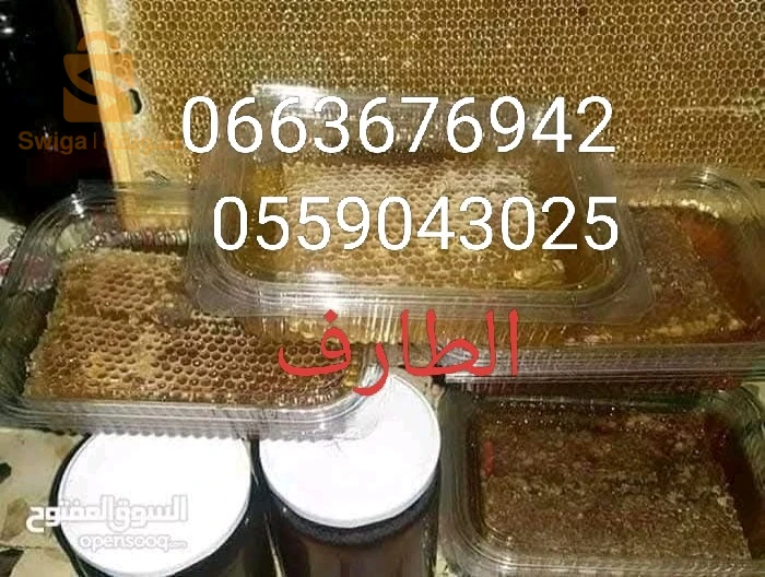 الصحة الغذائية 