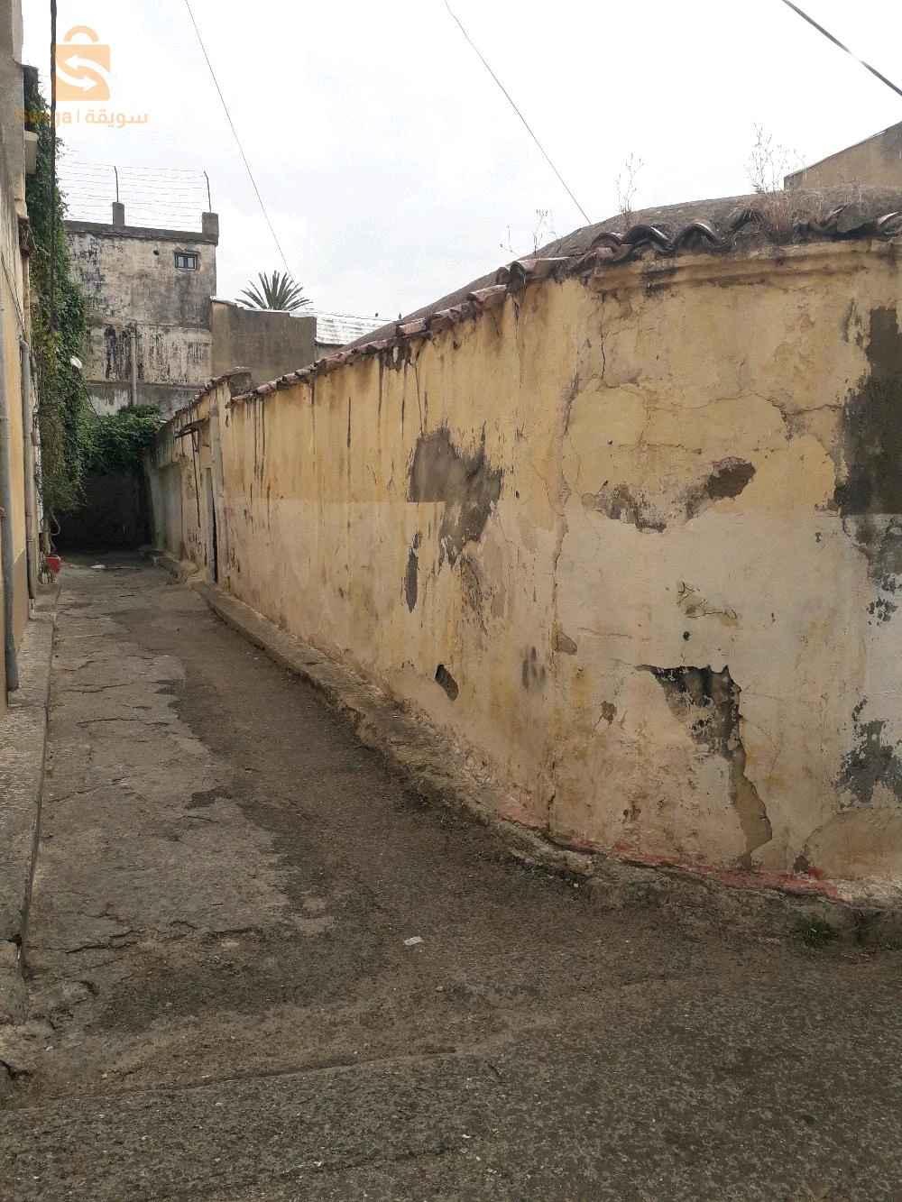 À vendre Terrains résidentiels les chambres  9 BLIDA