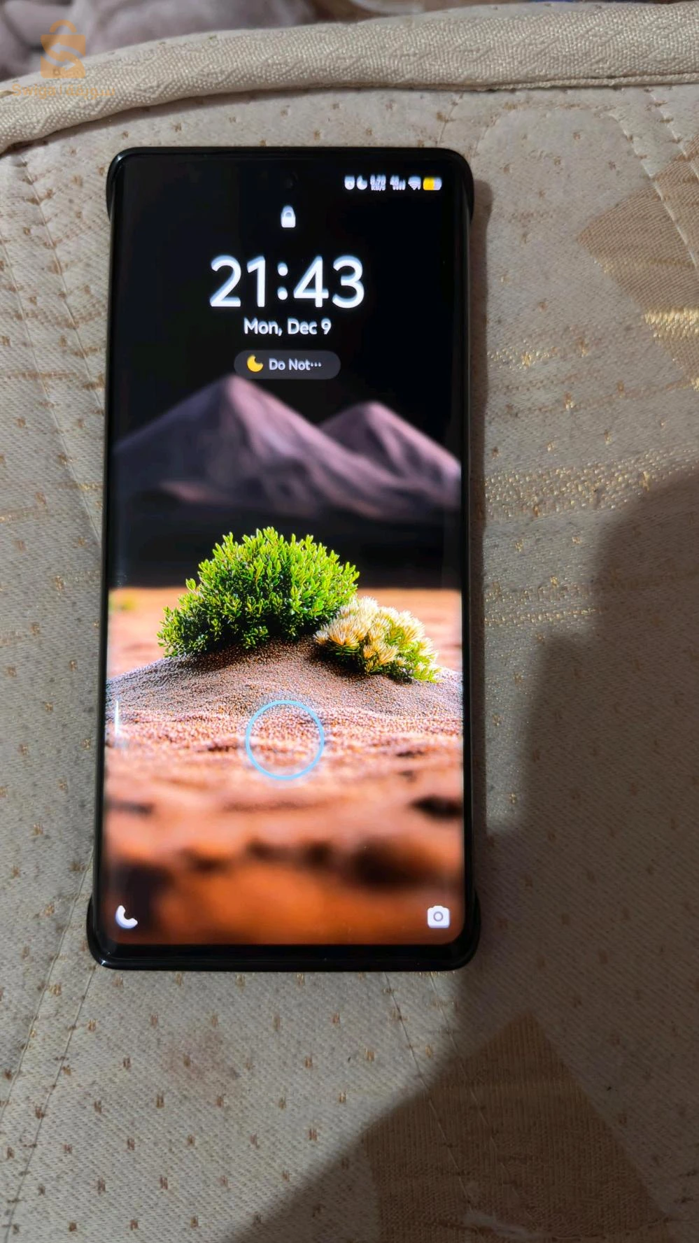 Vivo 