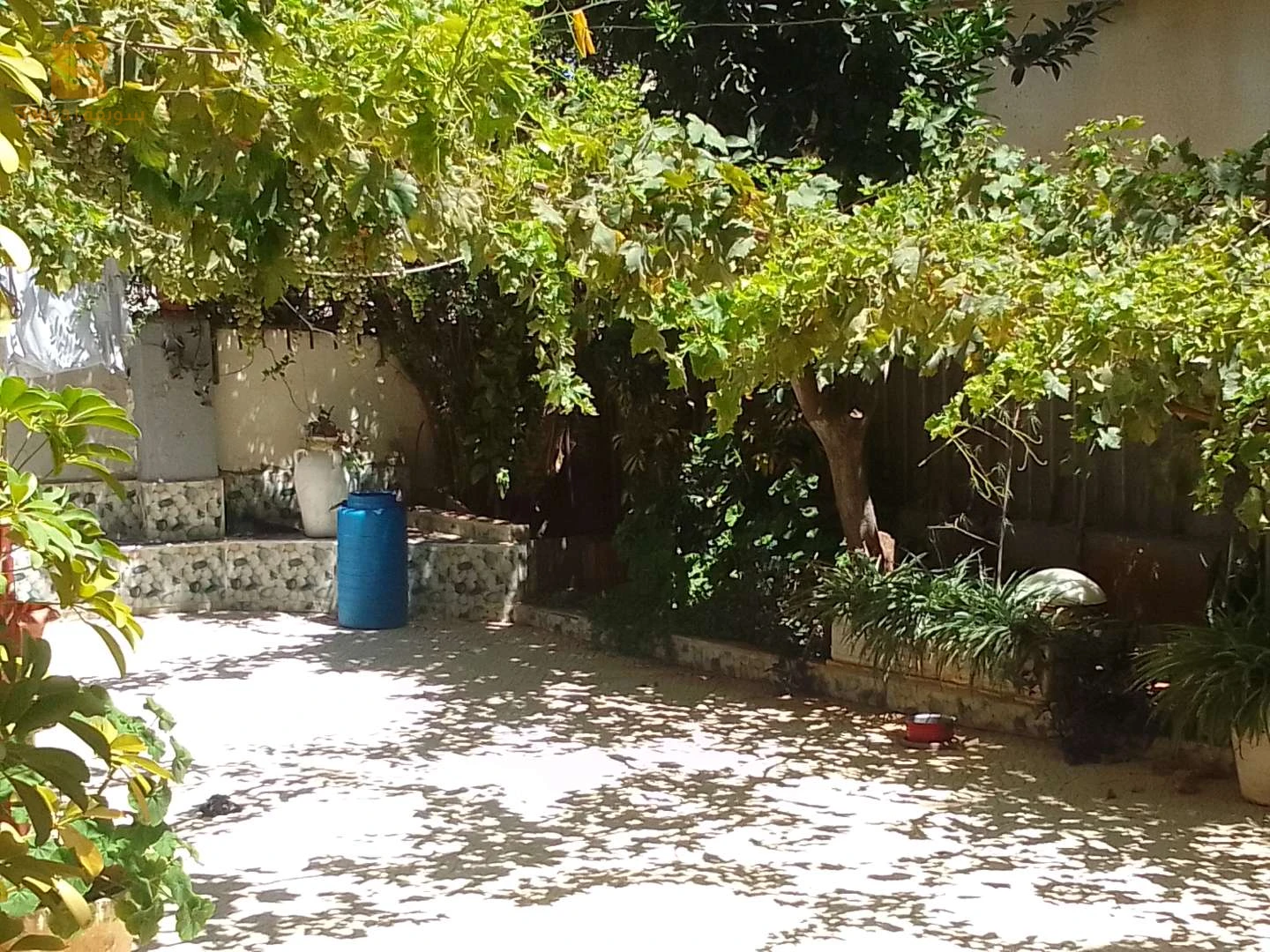 للبيع بيوت شعبية عدد الغرف 16 الجزائر