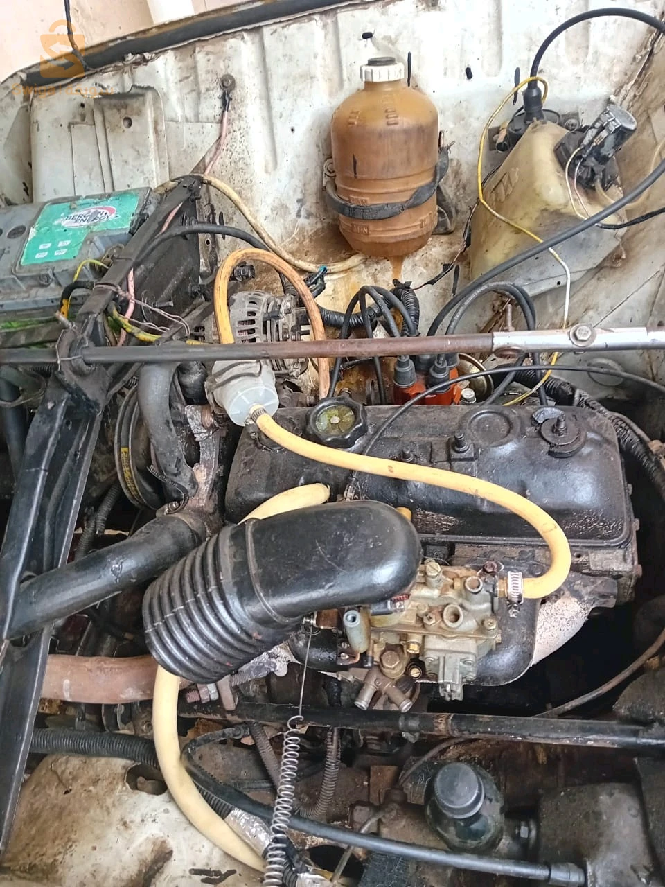 رينو R 4 1981 31 وهران