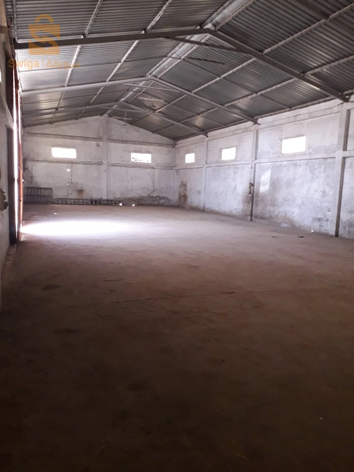 للبيع مستودعات عدد الغرف2 31 وهران