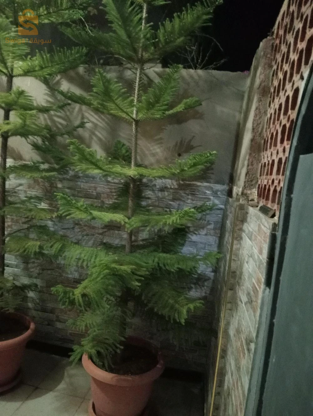 Décoration de jardin 