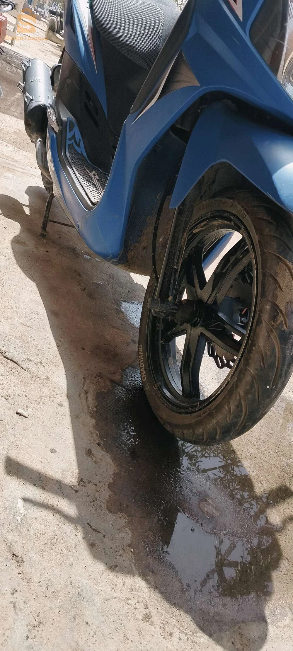 فيسبا 
