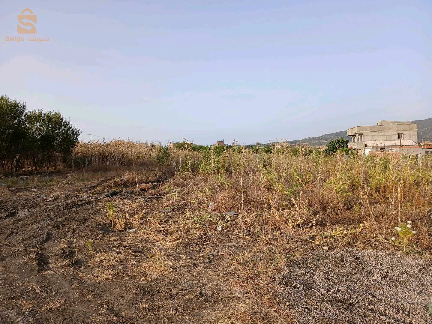 للبيع اراضي سكنية عدد الغرف 35 بومرداس