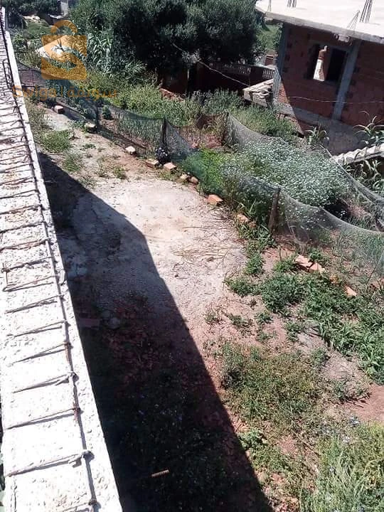 À vendre Villas les chambres 12 42 TIPAZA