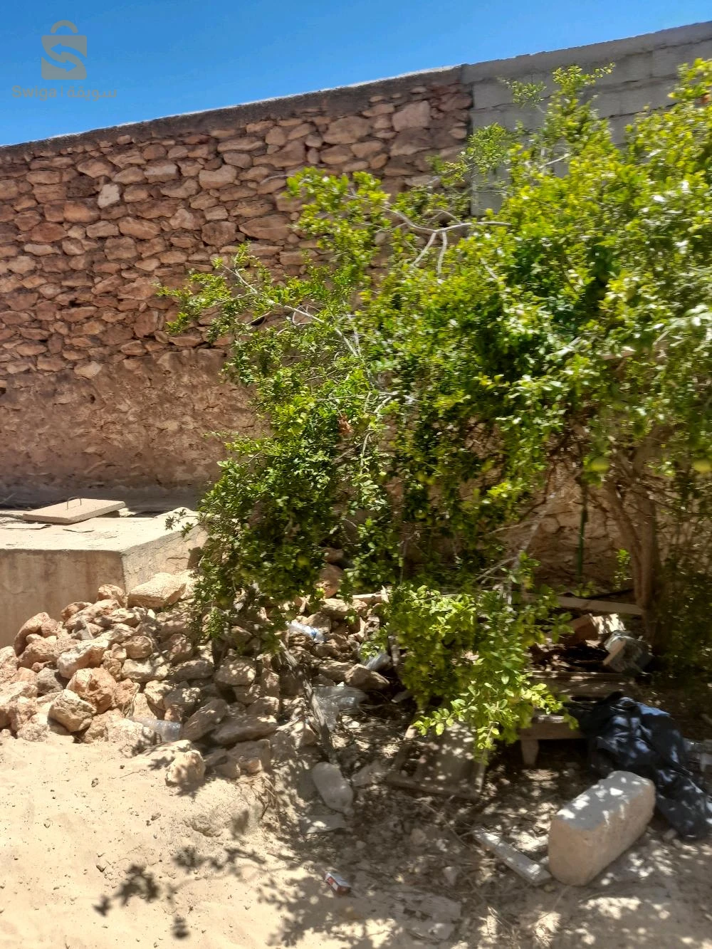 للبيع عقارات اخرى عدد الغرف0 46 عين تموشنت