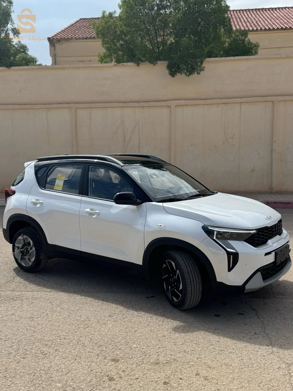 كيا SONT 2025 12 تبسة