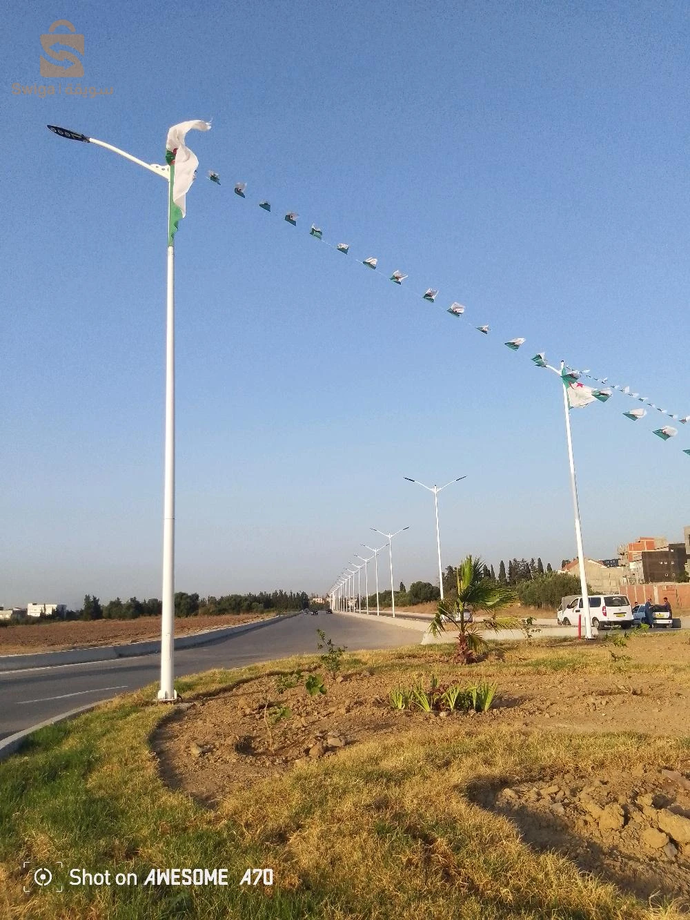 للبيع مستودعات عدد الغرف2 9 البليدة