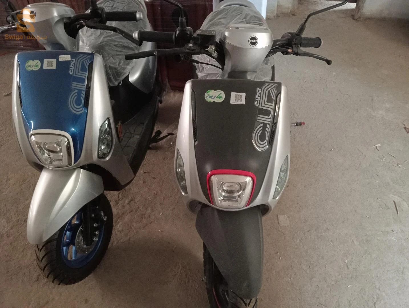 فيسبا 