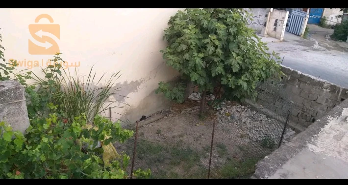 À vendre Maisons Traditionnelles les chambres 6 25 CONSTANTINE